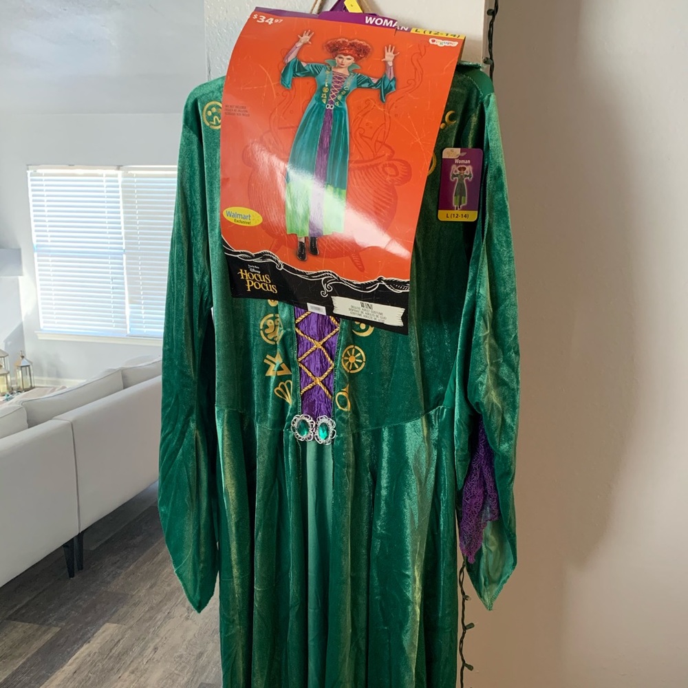 Hocus Pocus Witch Costume